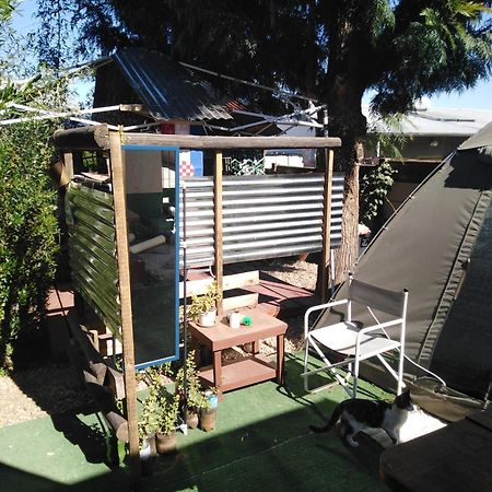 Xenia Bed&Breakfast Windhoek Exterior foto